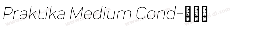 Praktika Medium Cond字体转换